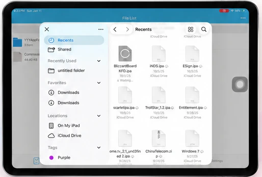 iPad file picker showing compatible IPA files