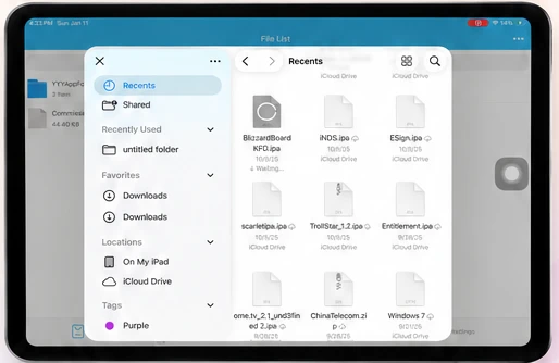 iPad file picker with visible package filenames